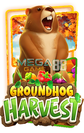 groundhog-harvest-ทดลองเล่นสล็อต